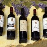 De vendimia por la Ribera del Duero Bodegas Henos. Pérez Pascuas