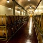 De vendimia por la Ribera del Duero Bodegas Henos. Pérez Pascuas