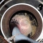 De vendimia por la Ribera del Duero Bodegas Henos. Pérez Pascuas