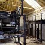 recogida de la aceituna en Rute Cordoba