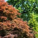 Jardines de Sheffield Park Inglaterra