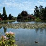 Jardines de Sheffield Park Inglaterra