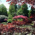 Jardines de Sheffield Park Inglaterra
