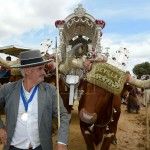 Los bueyes del Rocío 2016