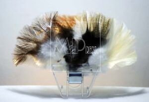 La pesca con mosca a la leonesa y el uso del gallo de León constituyen una tradición única, con gran valor cultural, histórico.