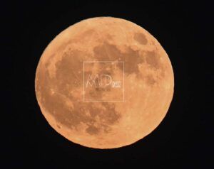 Luna de Fresa de 2026
