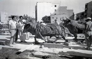 Monumento a los encierros de San Sebastián de los Reyes 1986.