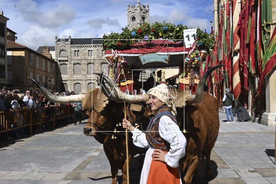 Los Carros Engalanados llenan de tradición y color las calles de León-01