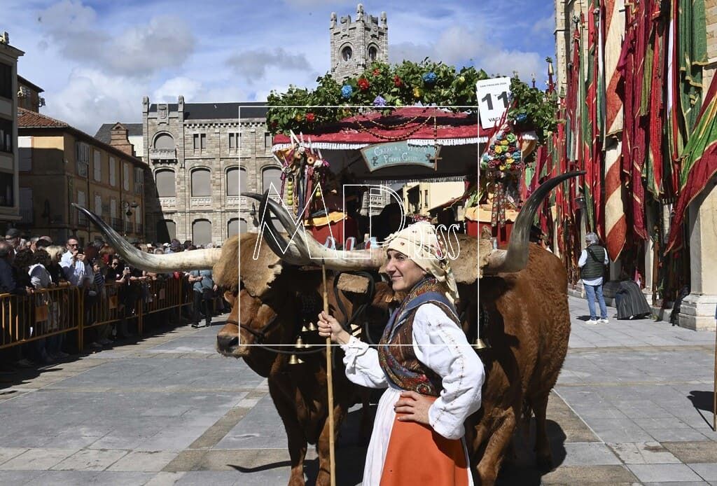 Los Carros Engalanados llenan de tradición y color las calles de León-01