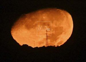 Luna Gibosa Creciente en Cebolla